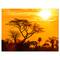 Designart - Orange Glow of African Sunset - Extra Large Wall Art Landscape